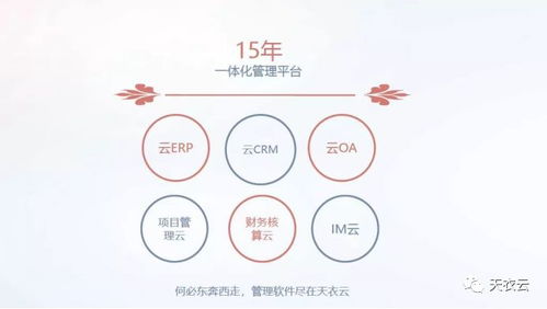 天衣CRM客戶(hù)管理系統(tǒng) 賦能餐飲加盟企業(yè)，鑄就品牌發(fā)展新引擎